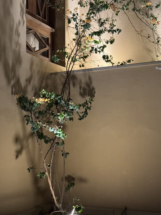 Sonstiges Makadi Spa - Adults only