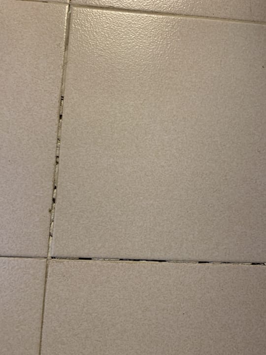 Zimmer blau punta reina