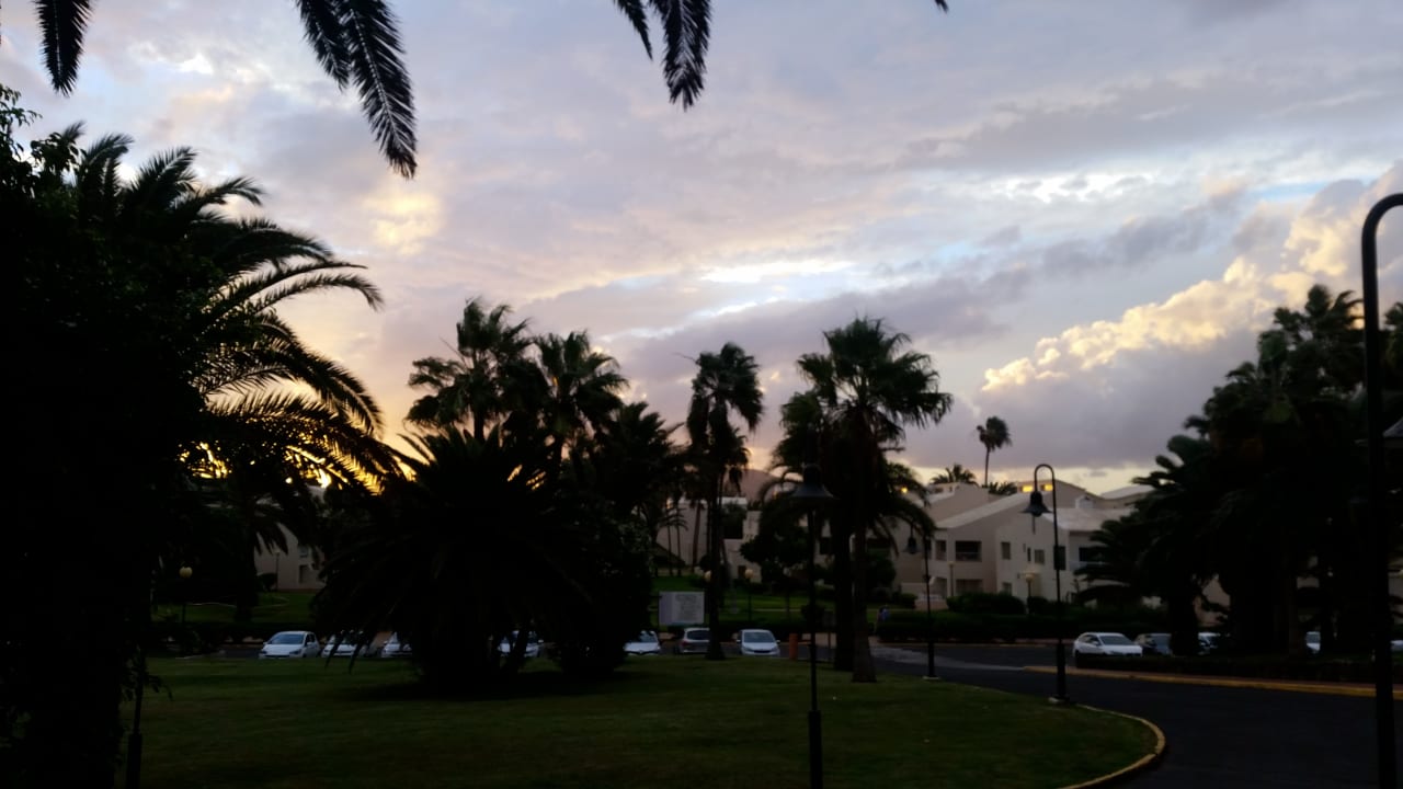 Gartenanlage Hotel Riu Oliva Beach - Hotel