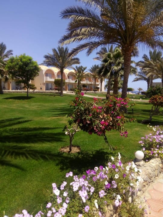 Gartenanlage Three Corners Sea Beach Resort