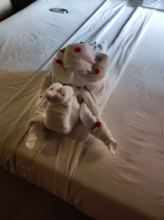 Zimmer Jaz Makadi Oasis Resort