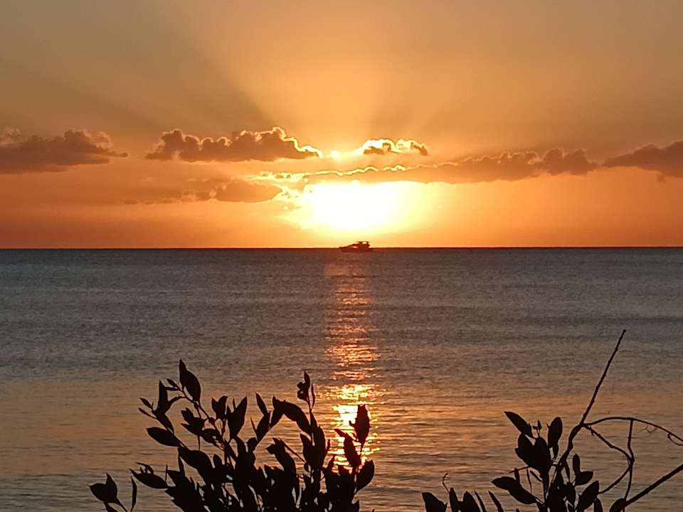 Ausblick Dreams La Romana Resort & Spa