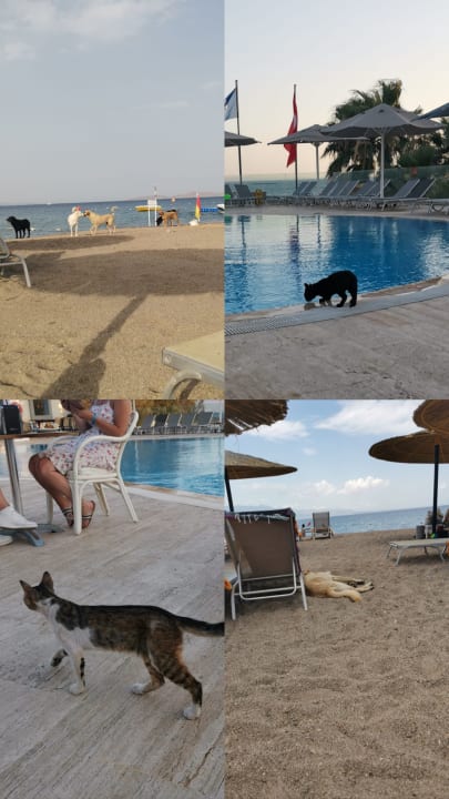 Strand Charm Beach Hotel