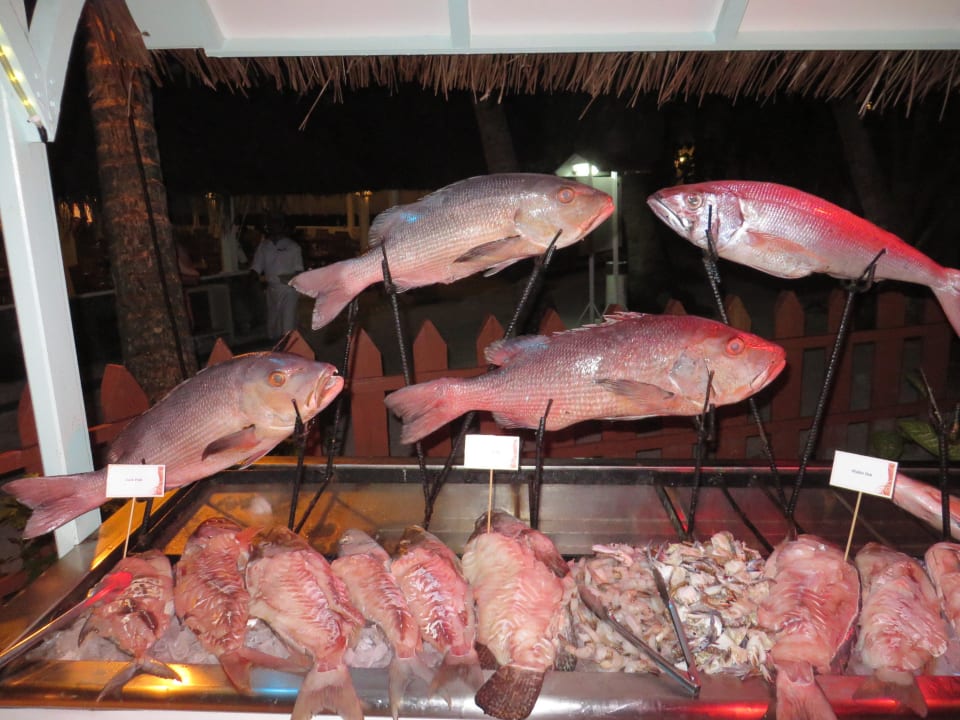 Fisch-Barbecue  Ellaidhoo Maldives by Cinnamon