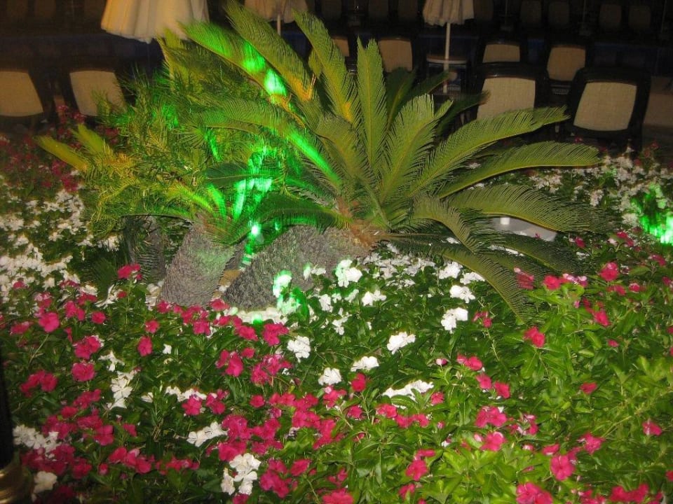 Anlage Diamond Excellence Resort & Spa