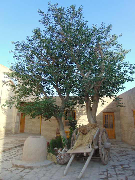 Gartenanlage Madrasah Polvon-Qori Boutique