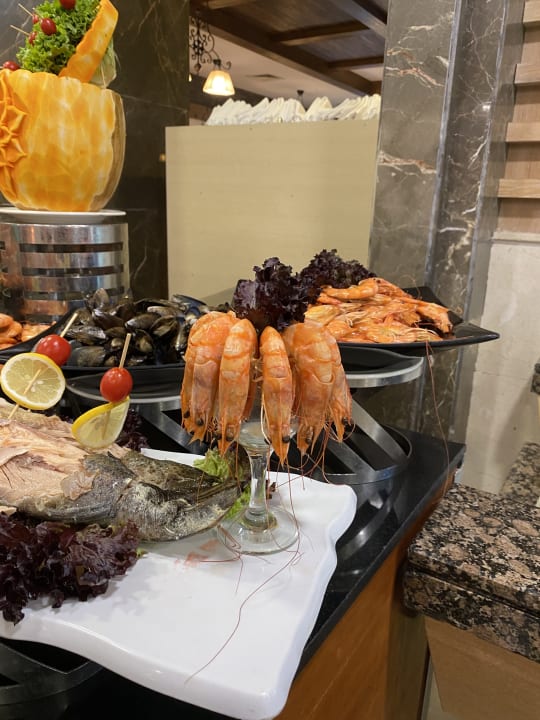 Gastro Alba Queen Hotel