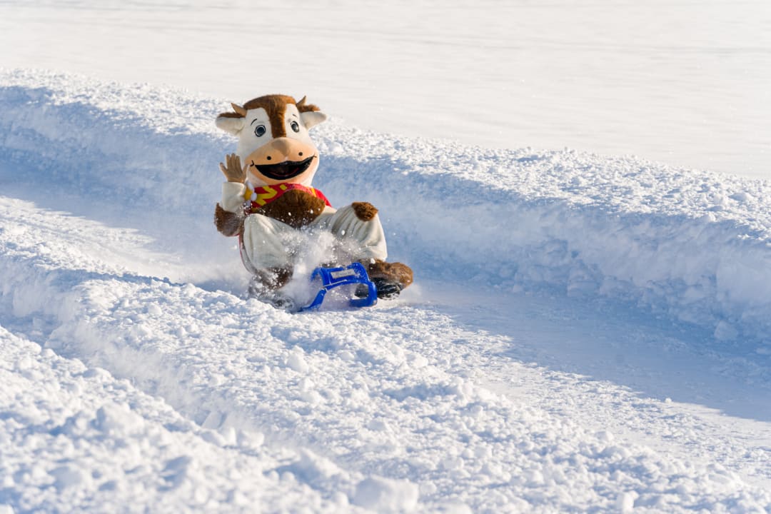 Sonstiges Kinderbauernhof Wilmershof