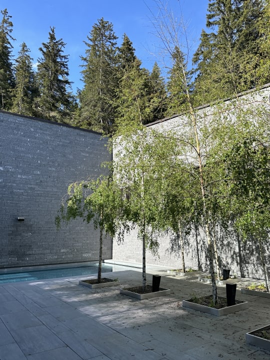 Pool Six Senses Crans-Montana