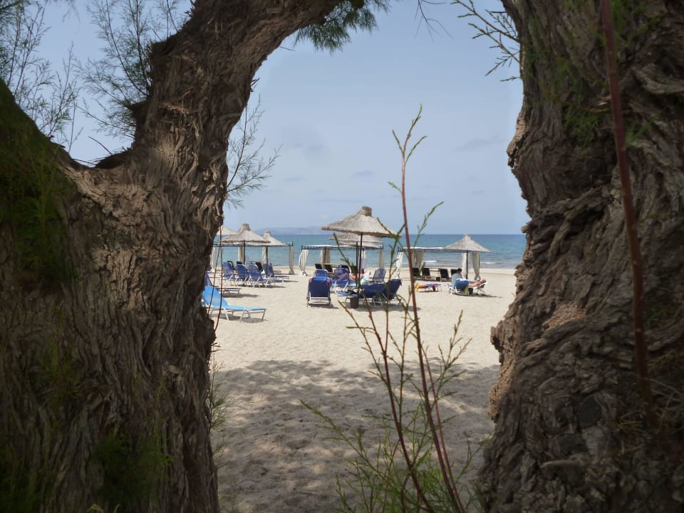 Sehr schöner Ausblick Anissa Beach & Village