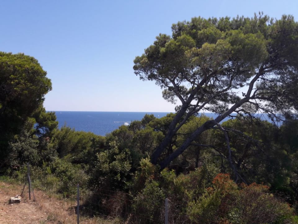 Ausblick Park Plaza Verudela Pula