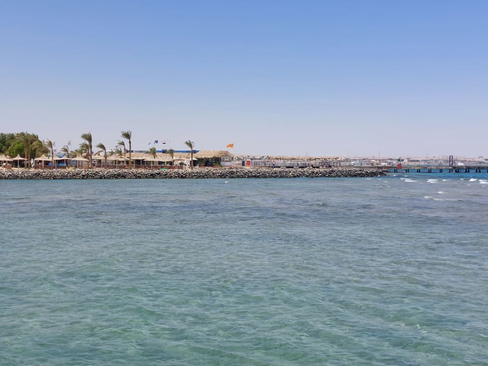 Ausblick Desert Rose