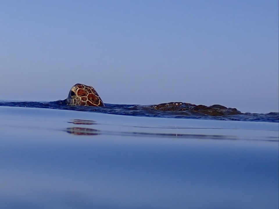 Strand Three Corners Equinox Beach Resort