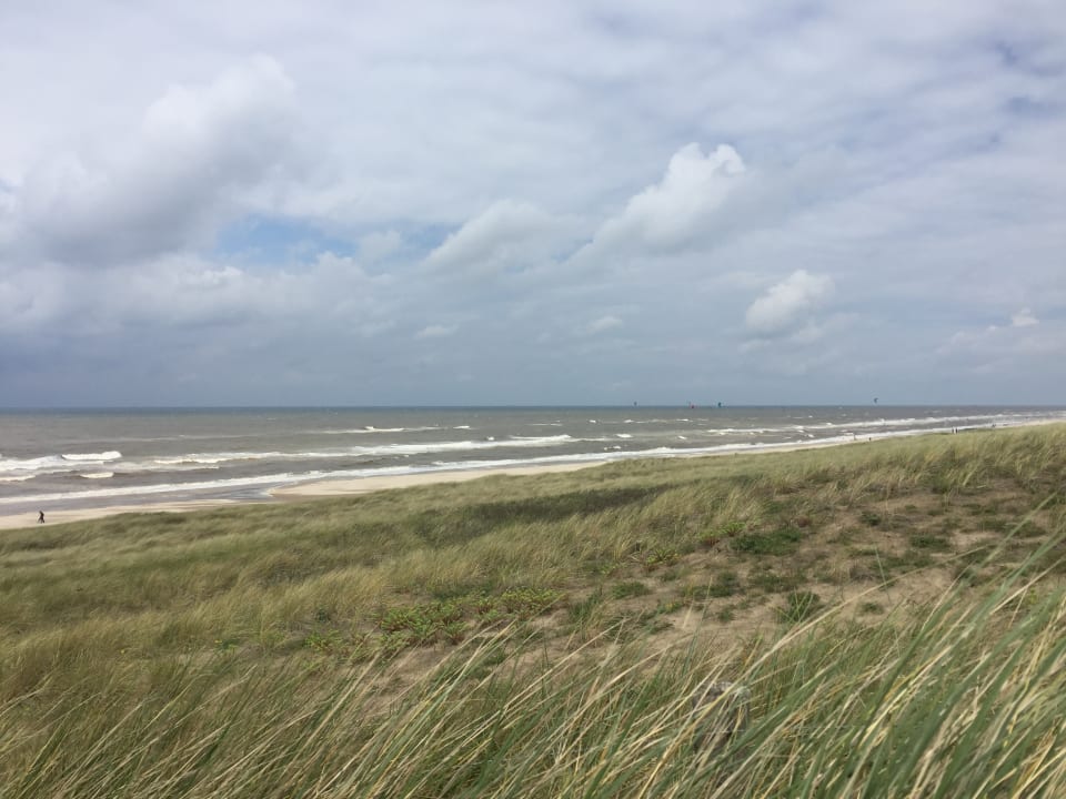"Strand" Strandhotel Golfzang (Egmond aan Zee) • HolidayCheck