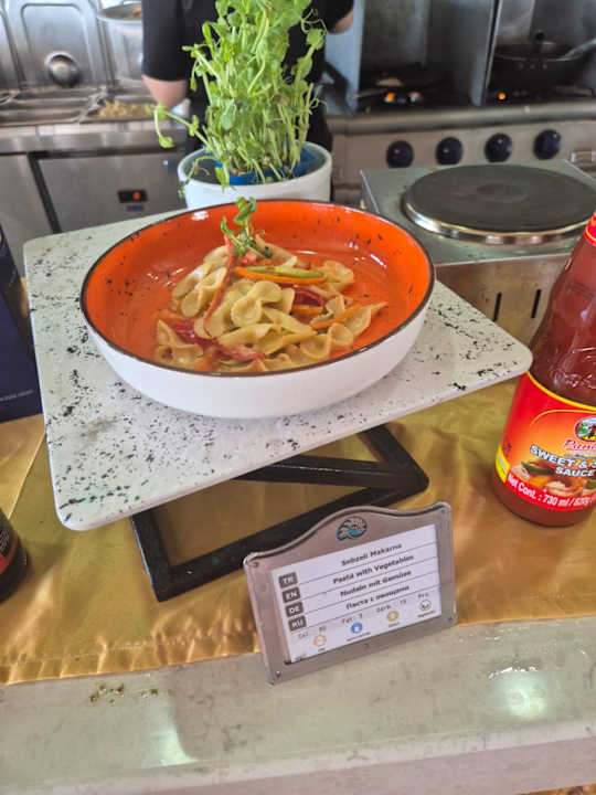 Gastro Seashell Vega