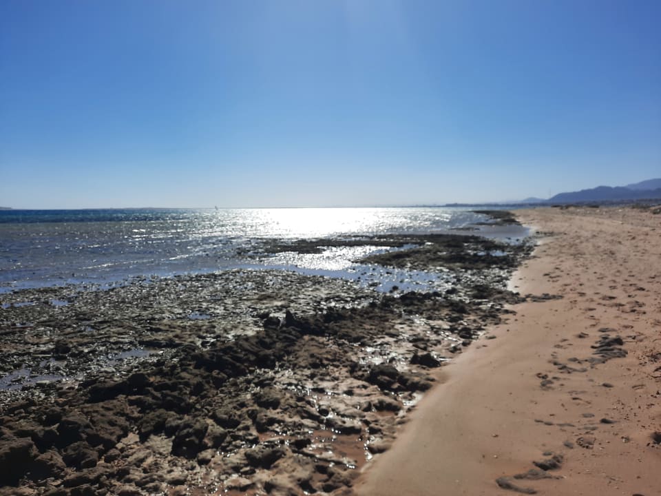 Strand Shams Prestige Abu Soma-Adults Only