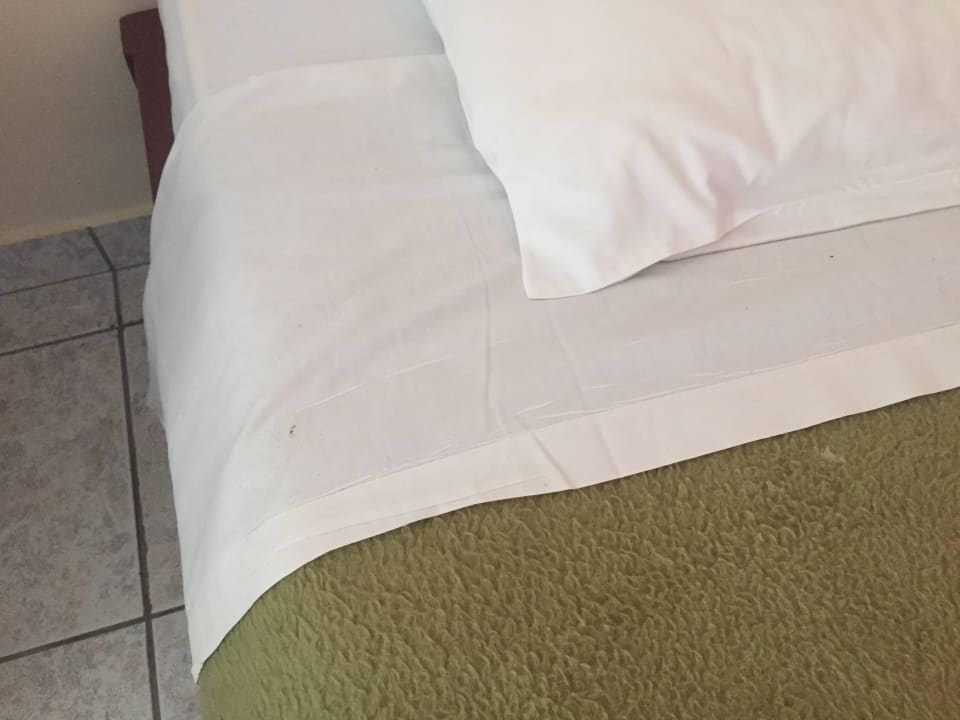 Verschmutzt Apollon Hotel