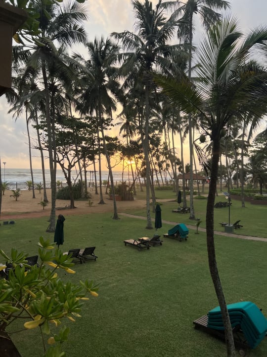 Gartenanlage Royal Palms Beach Hotel