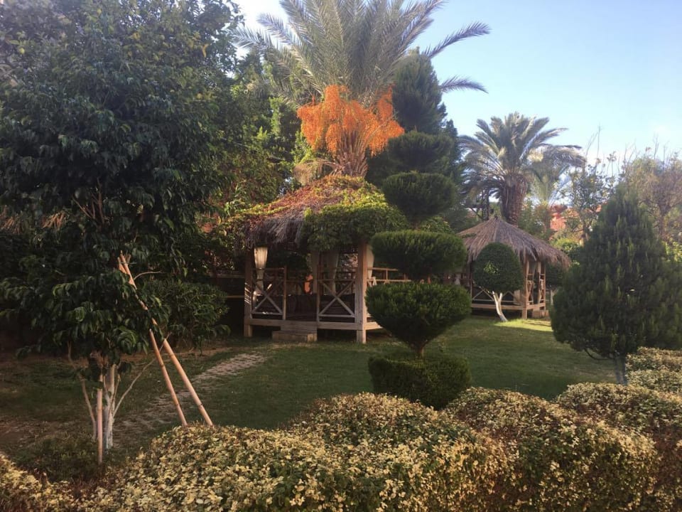 Gartenanlage Alaiye Resort & Spa