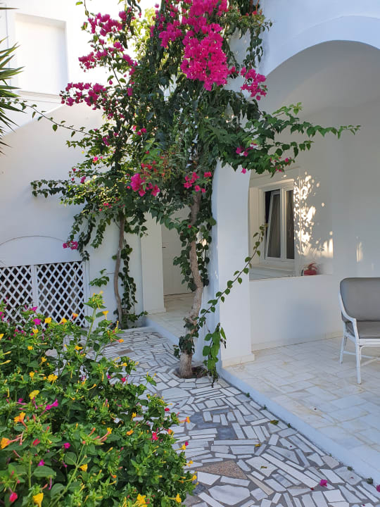 Zimmer Hotel Imperial Med Resort & Spa