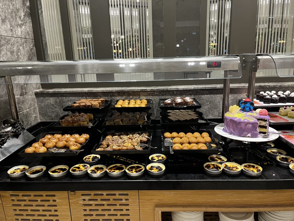 Gastro Seashell Vega