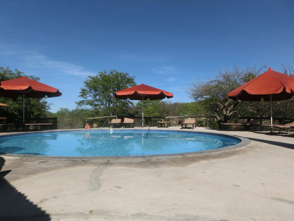 Pool Etosha Safari Camp