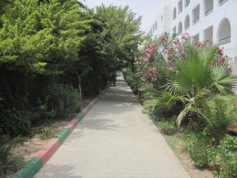 Weg vom Hotel zum Strand Hotel Royal Nozha