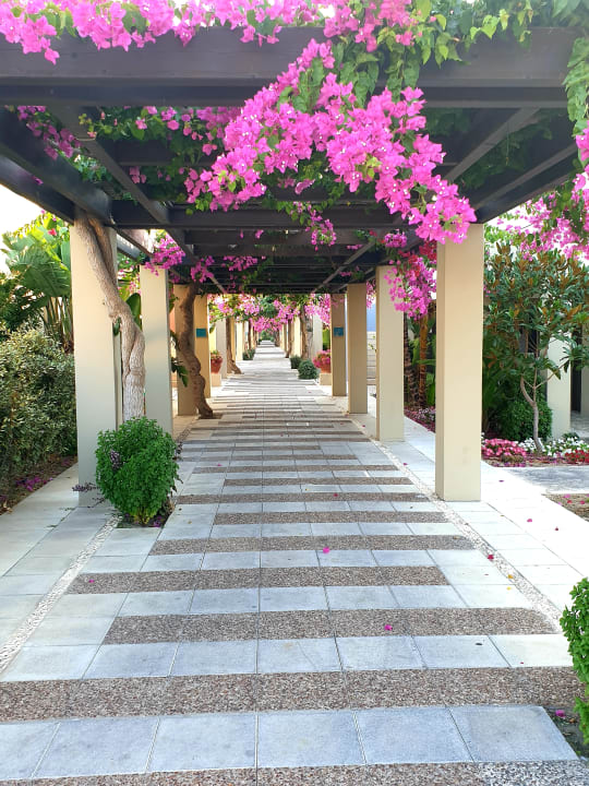 Gartenanlage Astir Odysseus Kos Resort & Spa