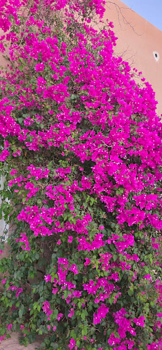 Sport & Freizeit Mahdia Beach & Aquapark