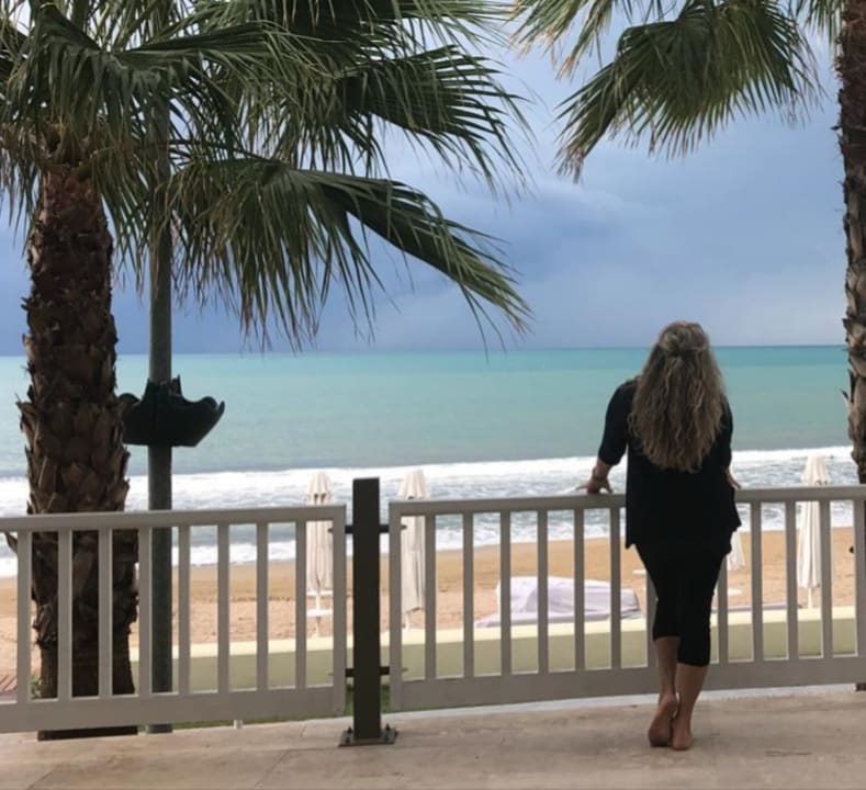 Strand Acanthus Cennet Barut Collection