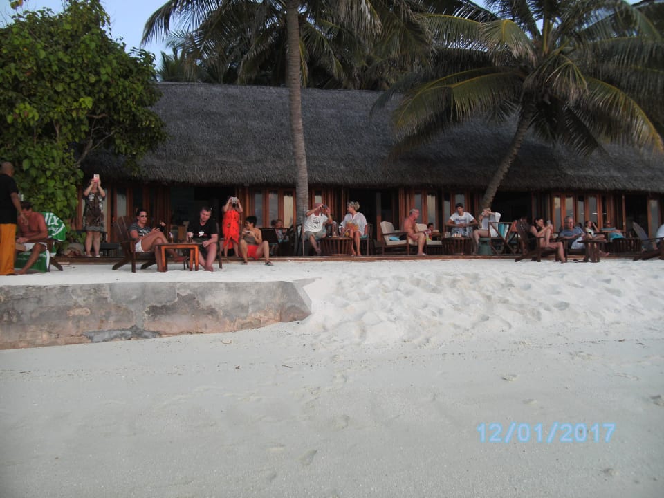 Bar  Summer Island Maldives