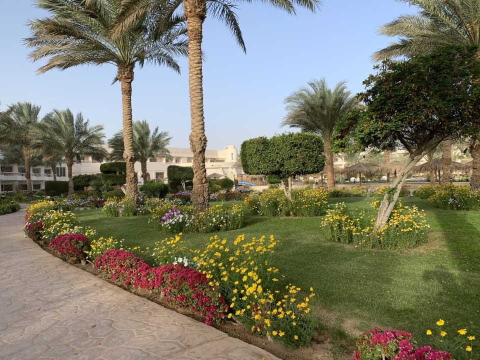 Gartenanlage Hurghada Long Beach Resort