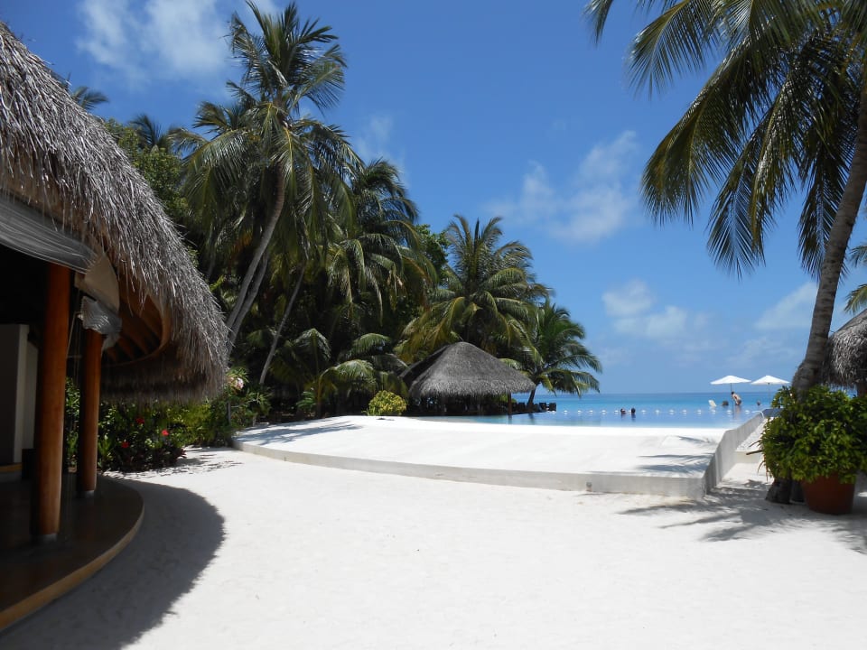 Infinitypool Kuramathi Maldives