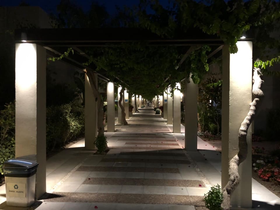 Gartenanlage Astir Odysseus Kos Resort & Spa