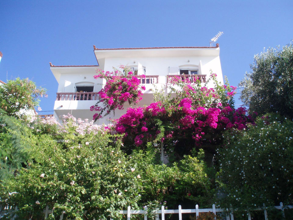 Balkon oder blumenverwachsene Terrasse Pension Olympias