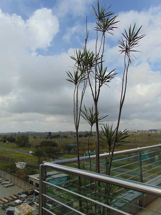 Ausblick Crowne Plaza Nairobi Airport