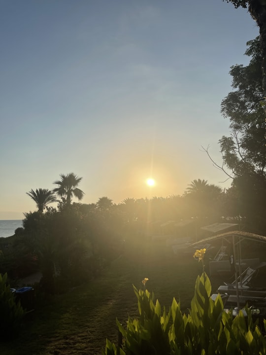 Gartenanlage Crystal Springs Beach Hotel