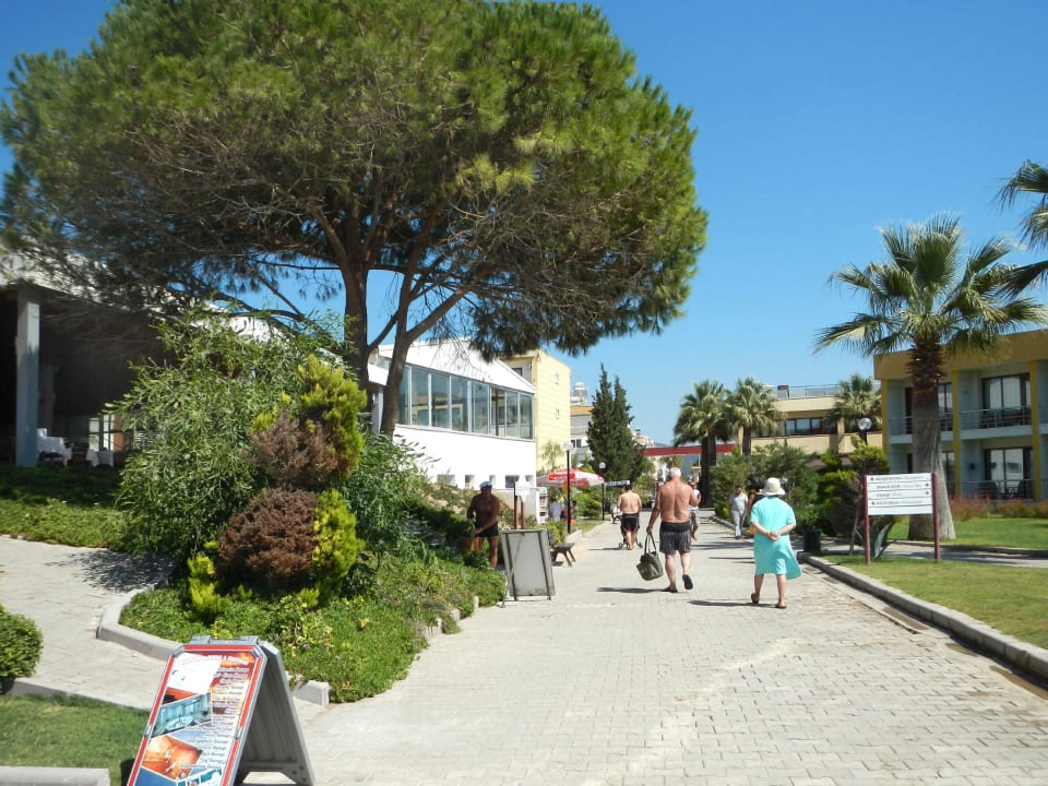In der Anlage Royal Beach Club Hotel