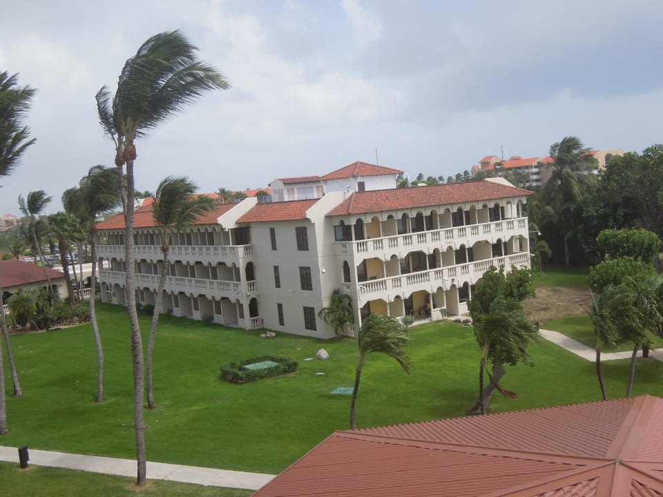 Bucuti-Wing Bucuti & Tara Beach Resort - Adults only
