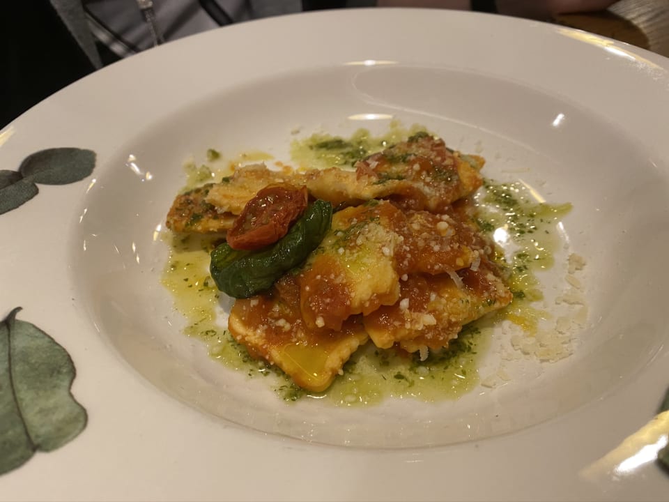 Gastro Acanthus Cennet Barut Collection