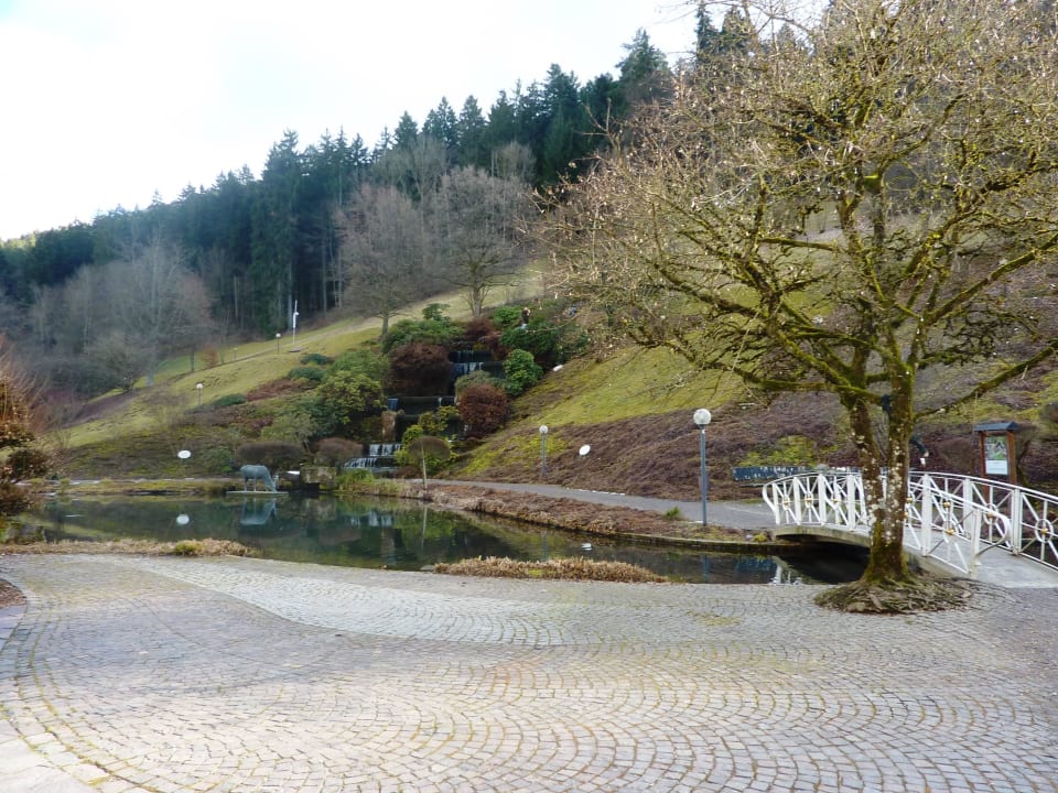 Bad Teinach Februar 2017 Hotel Therme Bad Teinach