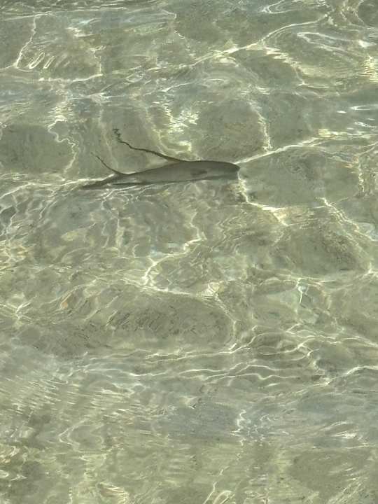 Strand The Coco de Mer Hotel & Black Parrot Suites