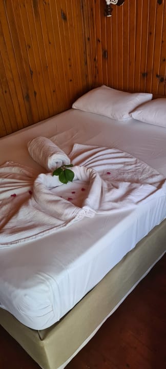 Zimmer Clover Magic Nova Beach