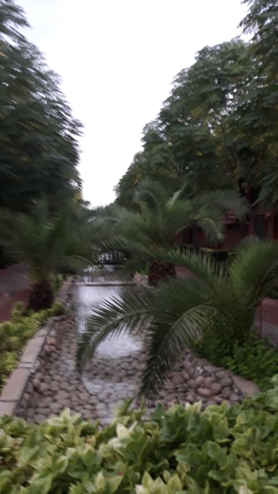 Gartenanlage Can Garden Beach