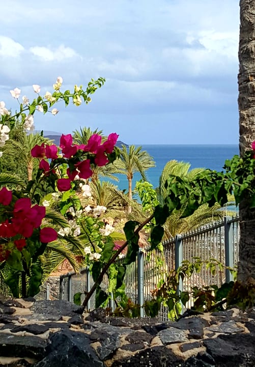 Gartenanlage R2 Rio Calma Hotel & Spa & Conference