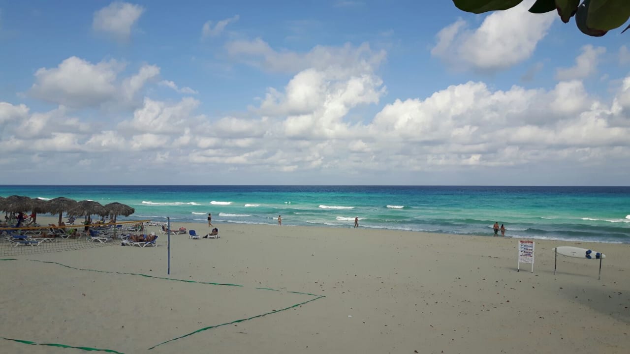 Strand Starfish Cuatro Palmas