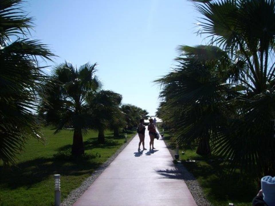 Weg zum Strand Saturn Palace Resort Hotel