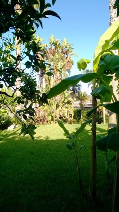 Ausblick Zimmer Garten Hotel Residence Costa Azzurra