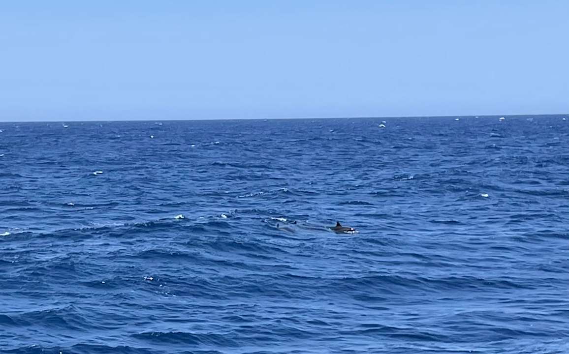 Strand Three Corners Happy Life Beach Resort