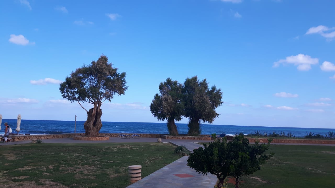 Gartenanlage Kernos Beach Hotel & Bungalows